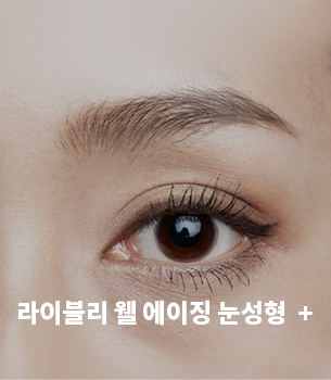 웹에이징눈성형