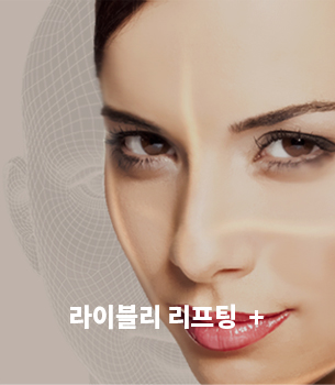 리프팅