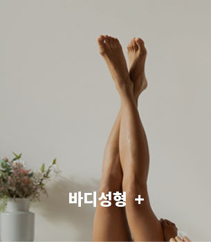 바디성형