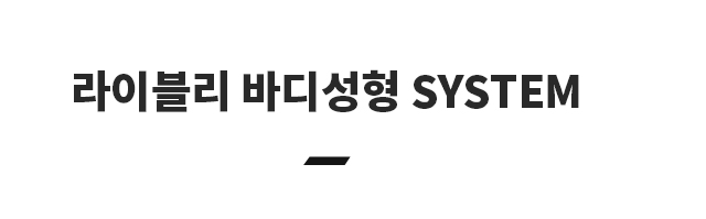 손등 지방이식